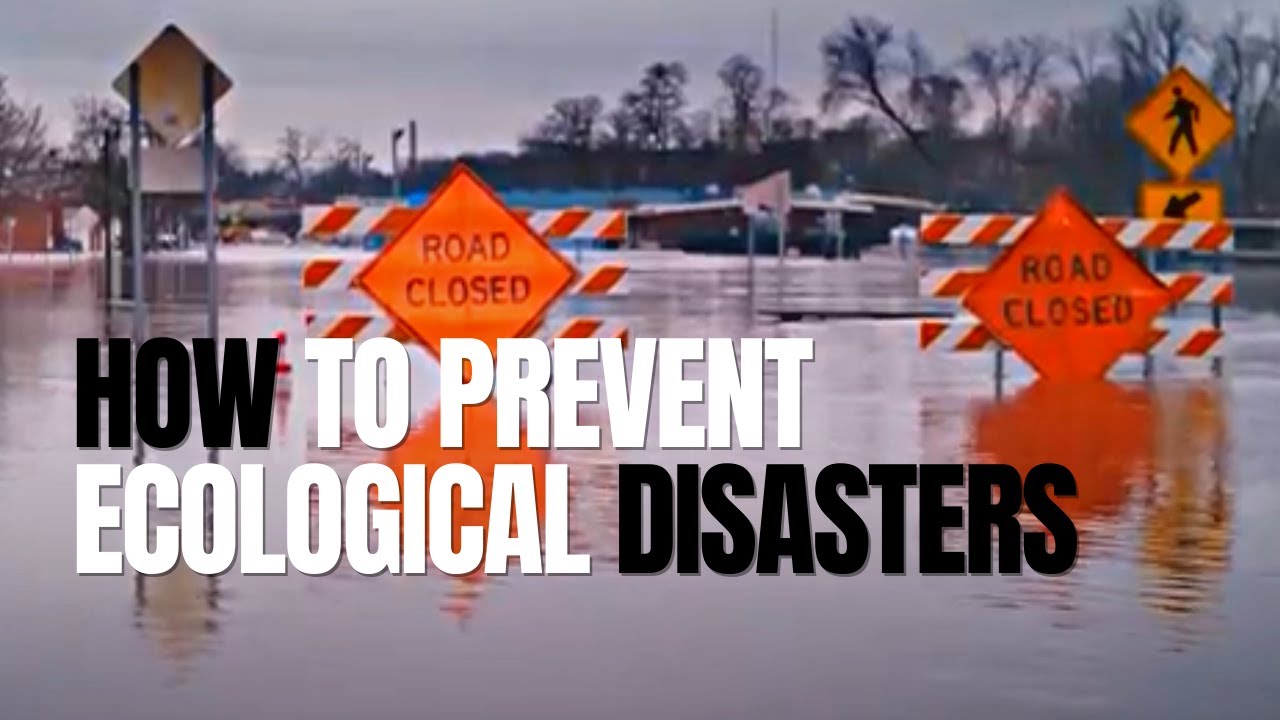 How can an ecological catastrophe be prevented? - Game Voyage